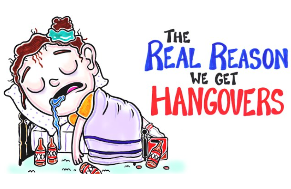 There's a Scientific Reason Why We Get Hangovers (Video)